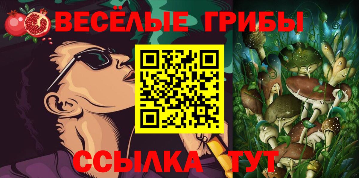 Галлюциногенные грибы GOLDEN TEACHER  Псилоцибиновые грибы прущие грибы  Артём  Вход с VPN 